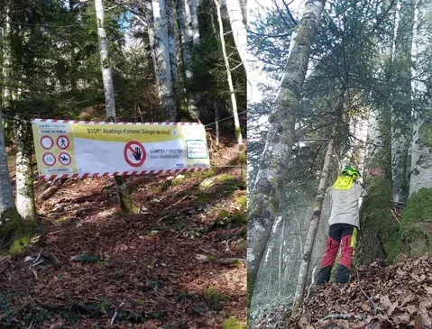 Gestion forestière à Charcier