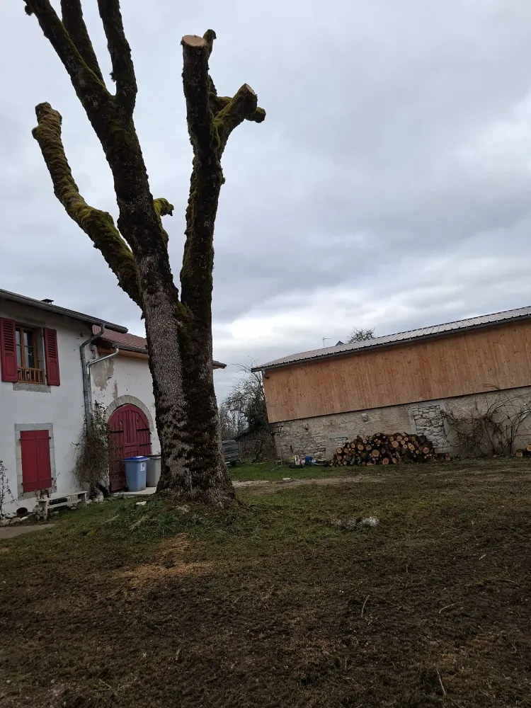 099b2a22bc1b4e840716507b2f67c14b3114bc99